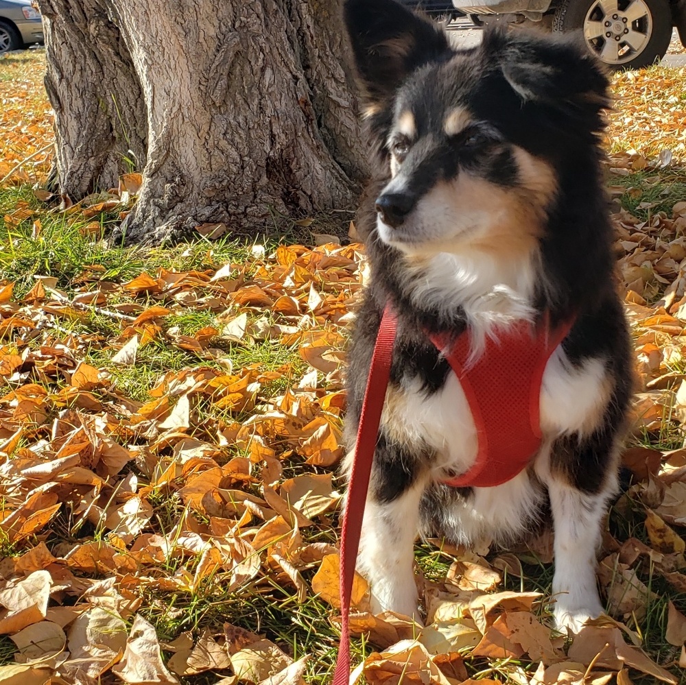 Meet your Posher, Bev